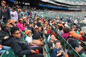 Tigers Game